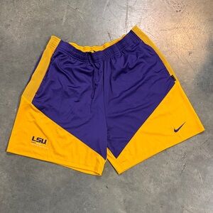 Nike Men's Athletic Shorts in Purple and Gold